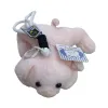 ومفتاح صغير محشو ومليء ومعلّق في حقيبته Item Picture